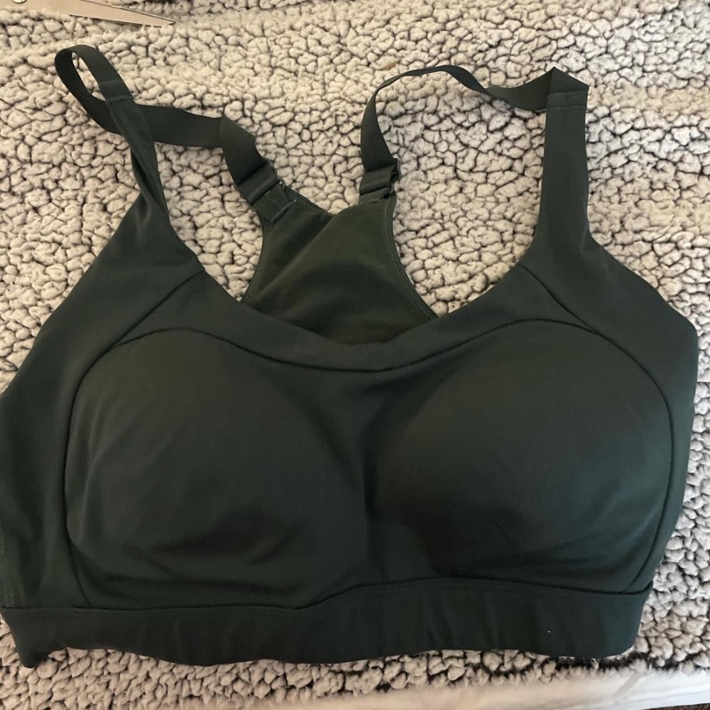 Green gym sharks high support bra